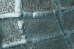 お客様ご質問会を開催いたします